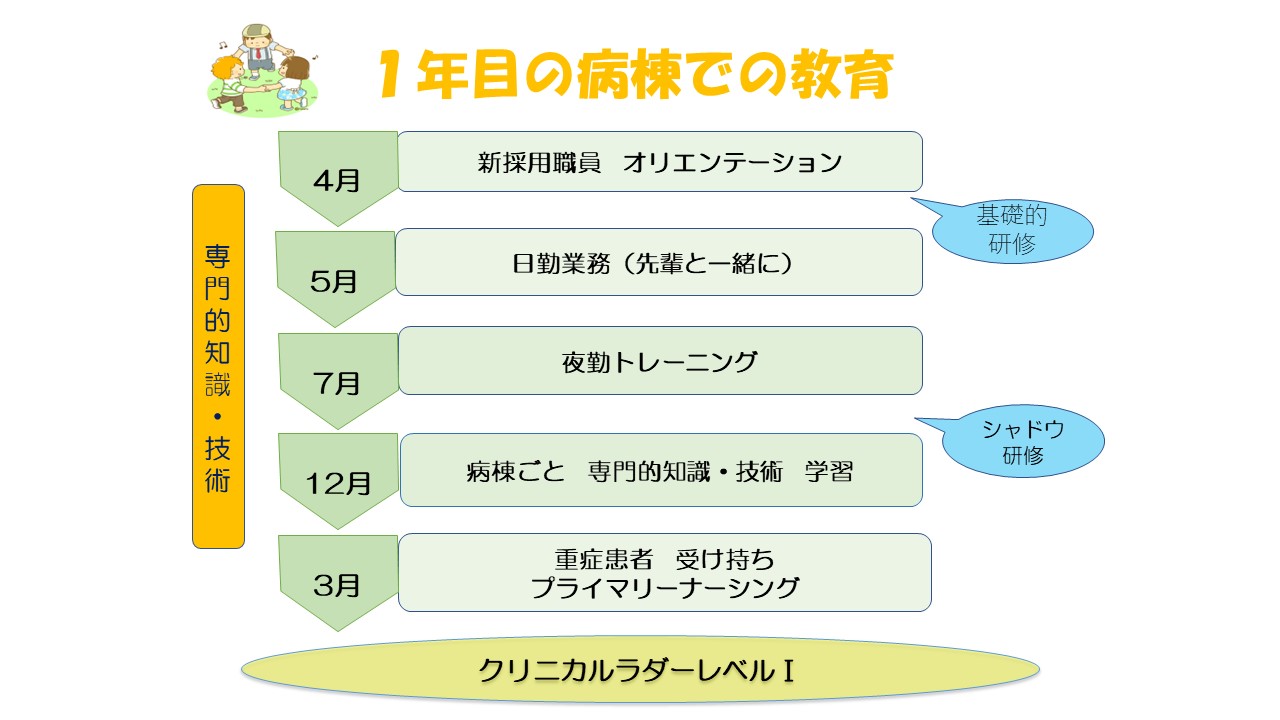 新人教育研修（年間スケジュール）