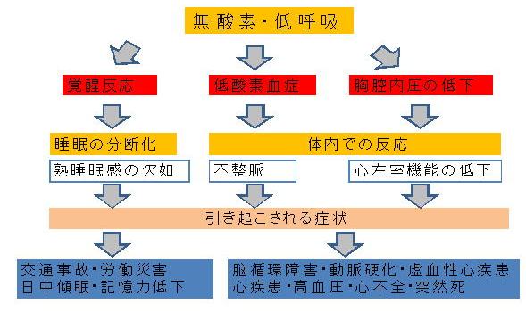 睡眠時無呼吸症候群における各種疾患の発生メカニズム