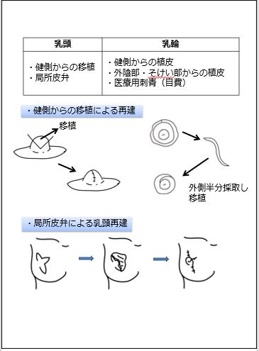 乳腺9