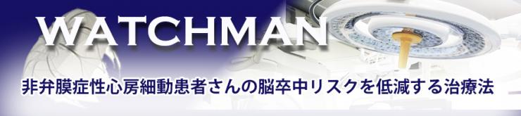WATCHMANTOP画像