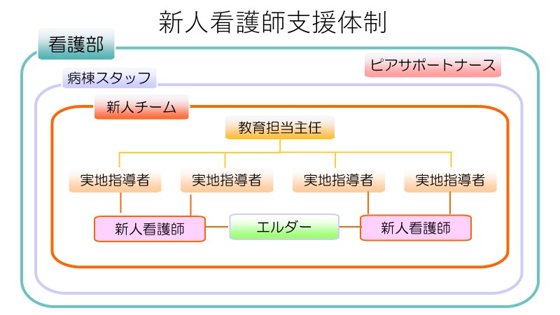 新人看護師の支援体制