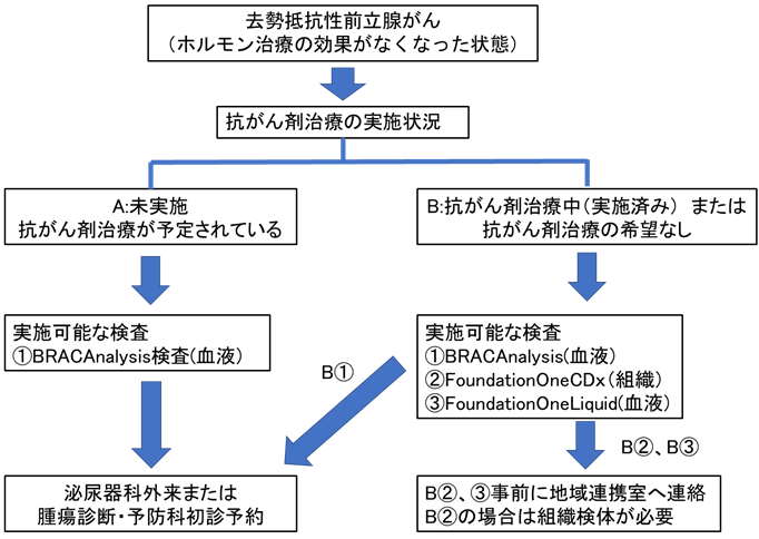 前立腺がんの治療目的で実施するBRCA遺伝子検査について