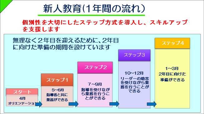 新人教育１年の流れ