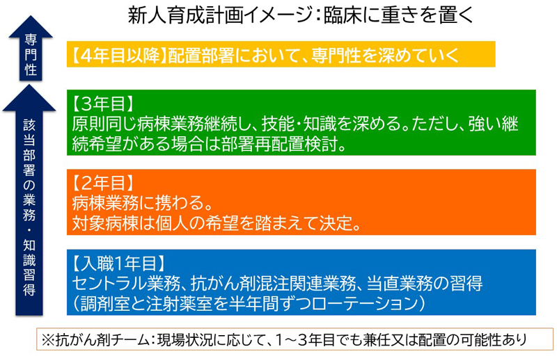 新人育成計画イメージ