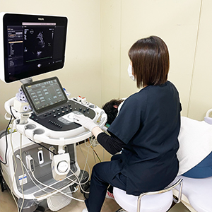 経胸壁心エコー検査の様子