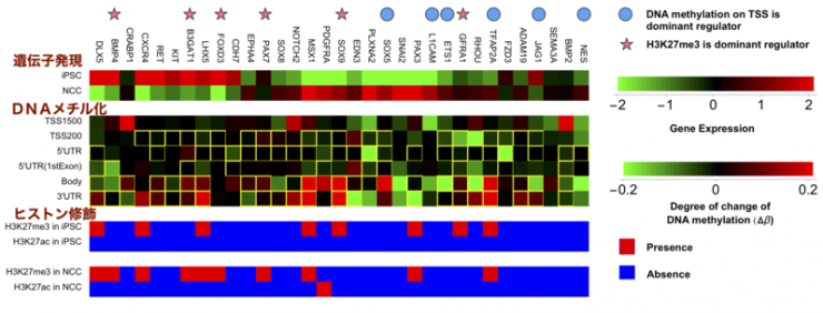 エピゲノム変化の図