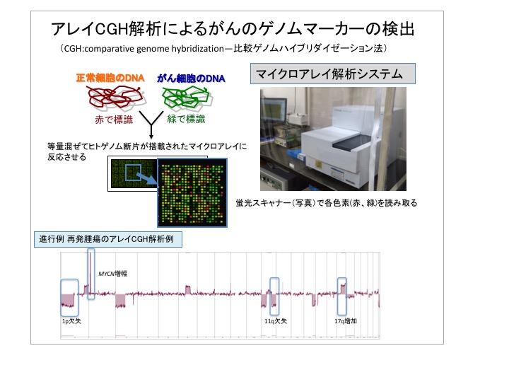 がんの網羅的ゲノム解析の一例