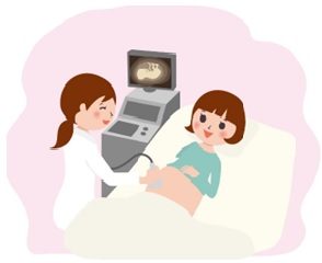 胎児診断の様子