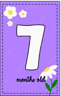 7mt