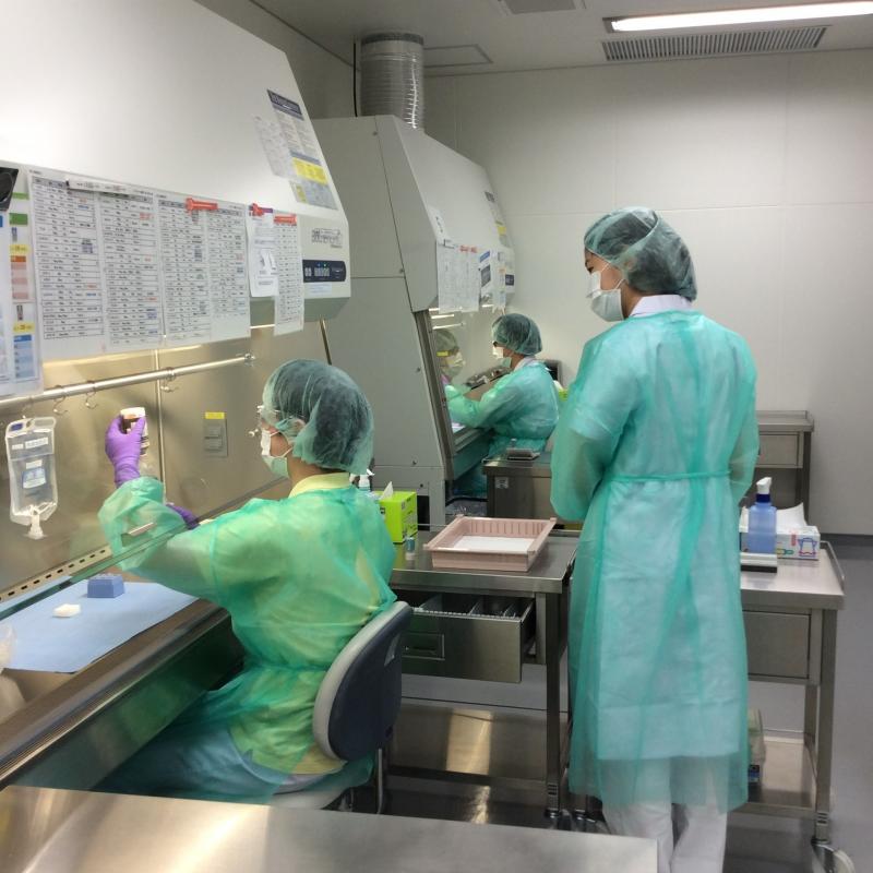 抗がん剤調整画像