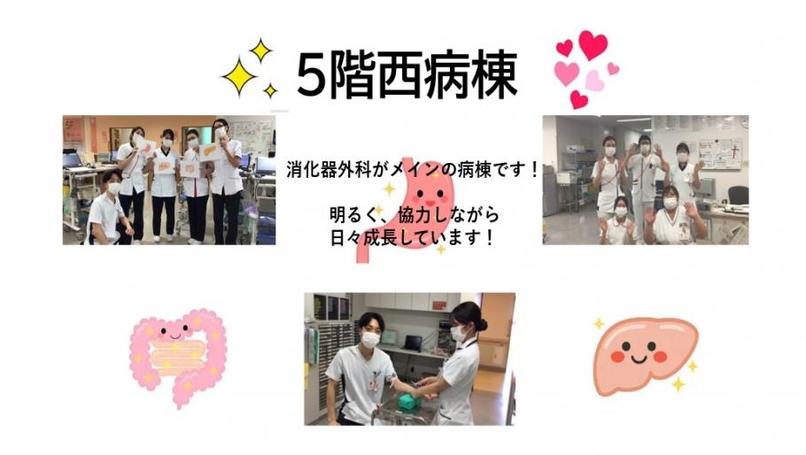 看護5