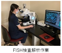 FISH検査解析作業