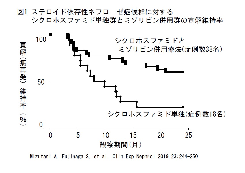 ステロイド依存性ネフローゼ症候群に対するシクロホスファミド単独群とミゾリビン併用群の寛解維持率