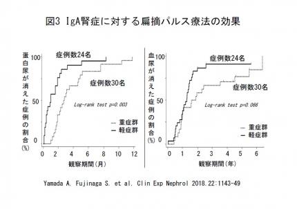 IGA腎症に対する扁摘パルス療法の効果