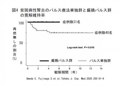 紫斑病性腎炎のパルス療法単独群と扁摘パルス群の寛解維持率