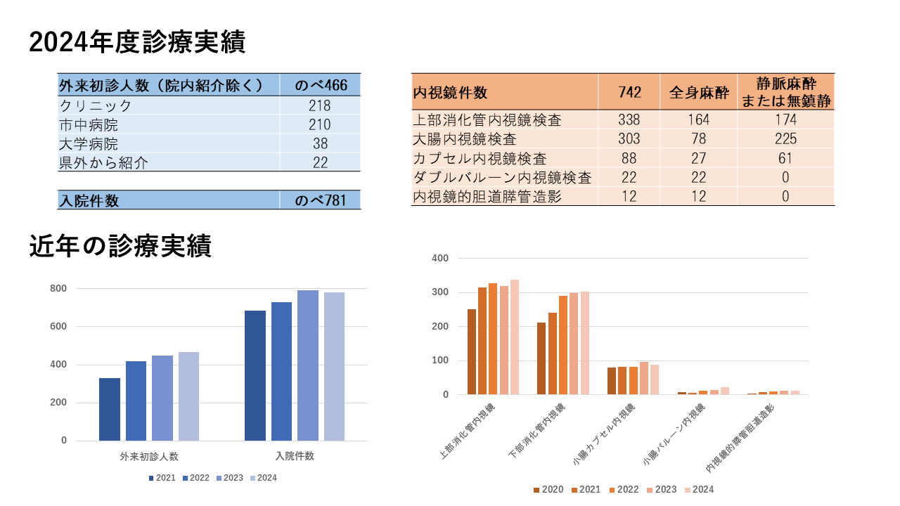消化器肝臓科2024年診療実績