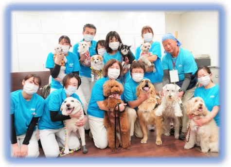 セラピードックと日本動物病院協会のみなさんの集合写真