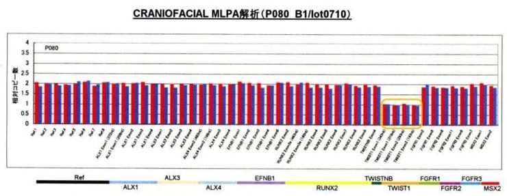 MLPA法解析例