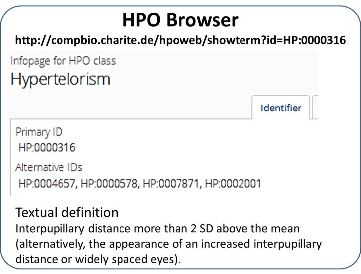 表現型記載の標準化、HPO Browserの画像
