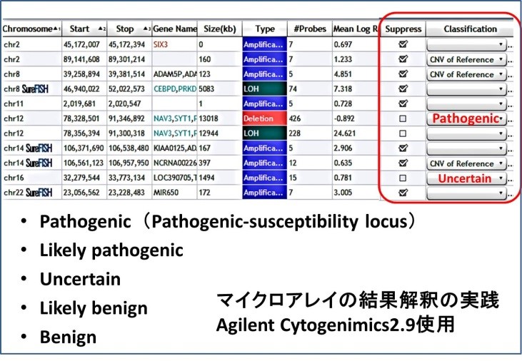 マイクロアレイの結果解釈の実践