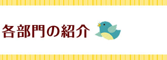 各部門の紹介
